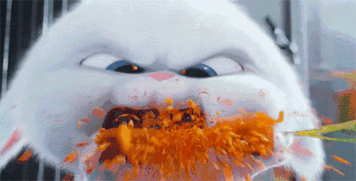 1.gif